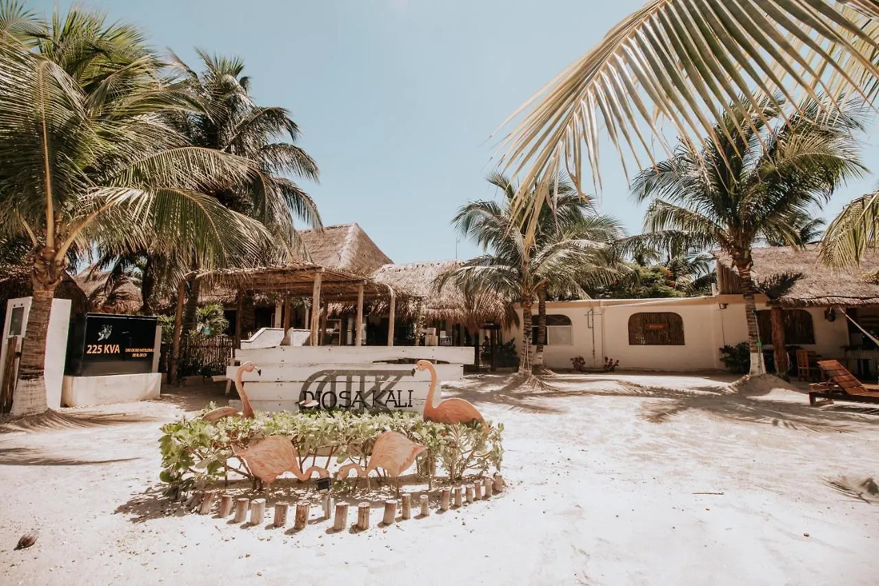 La Diosa Kali Beach Front Hotel Isla Holbox