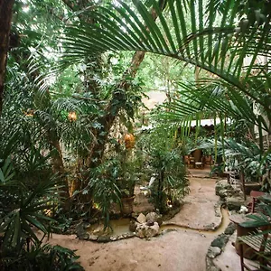 **** Hotel La Semilla A Member Of Design (adults Only) Mexico