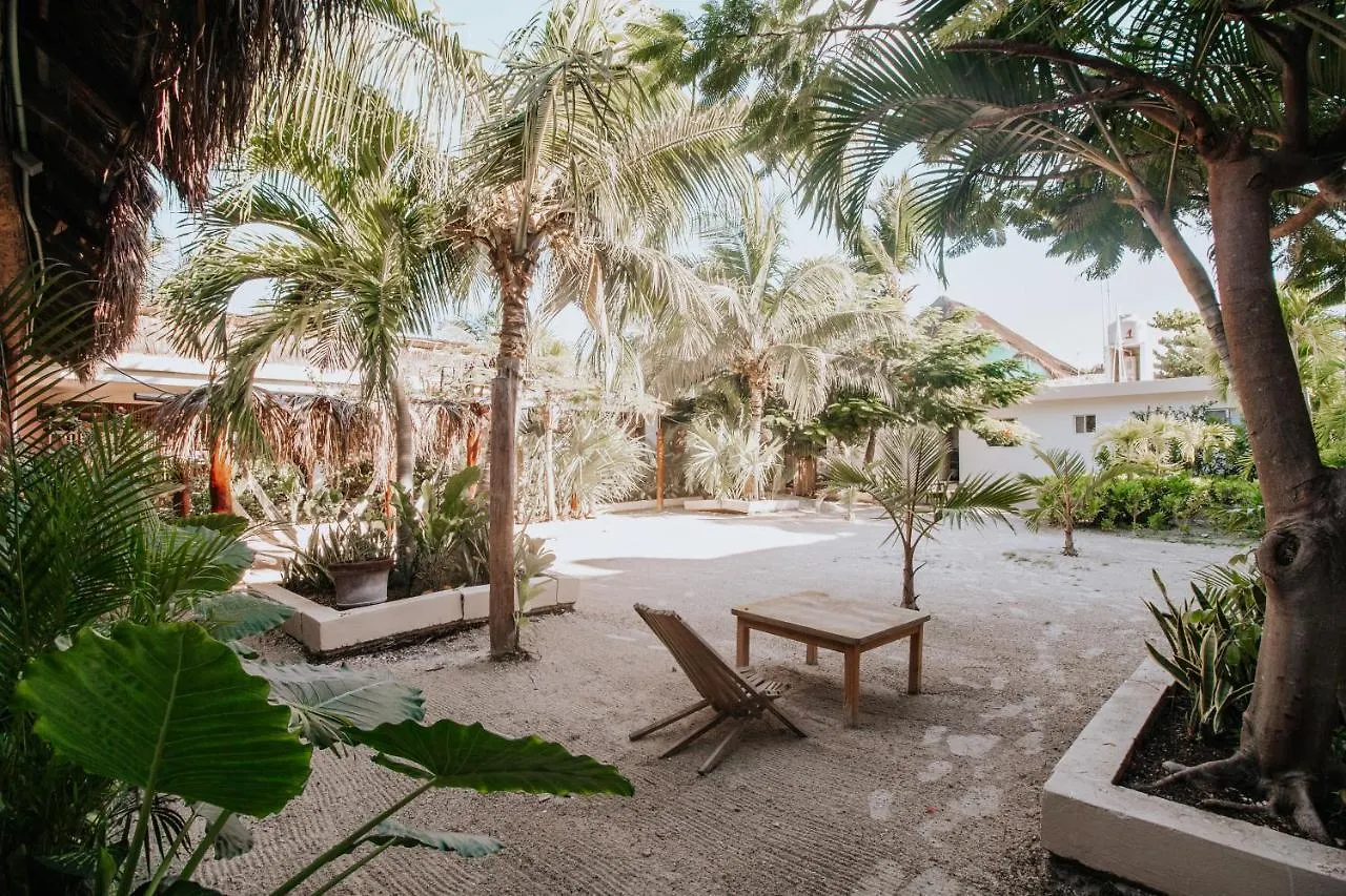 La Diosa Kali Beach Front Hotel Isla Holbox 3*,
