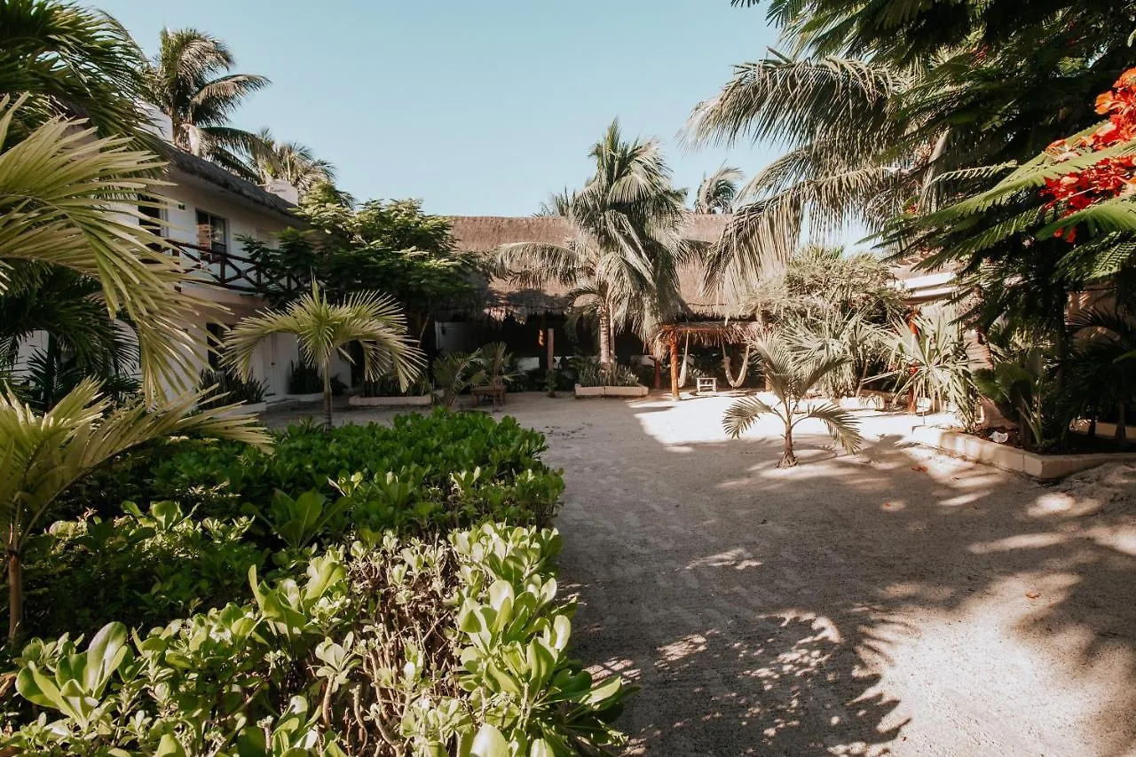 La Diosa Kali Beach Front Hotel Isla Holbox