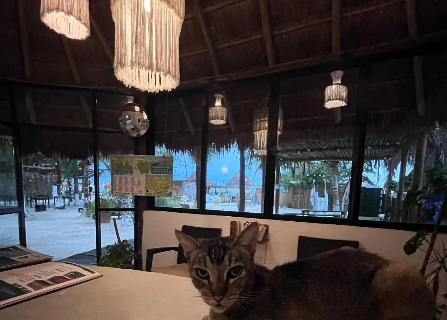 La Diosa Kali Beach Front Hotel Isla Holbox