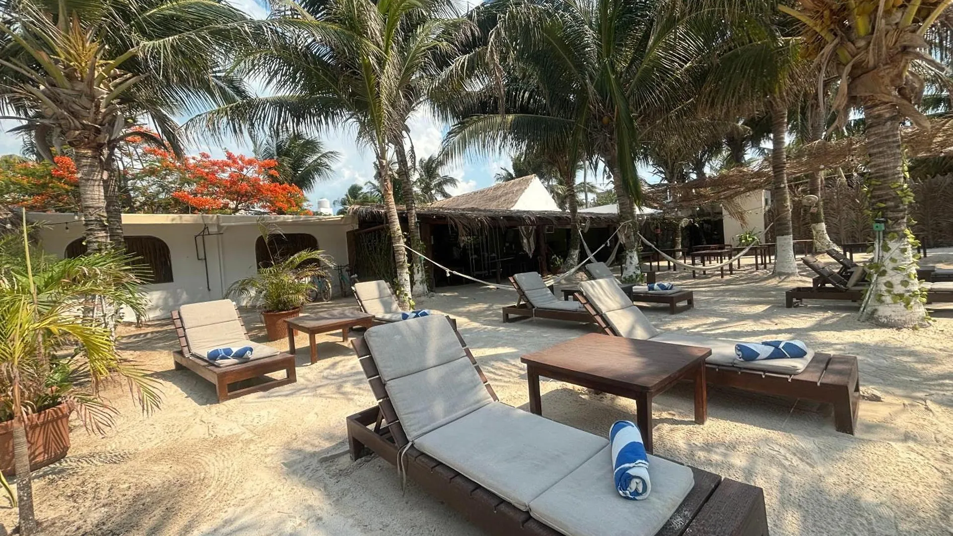 La Diosa Kali Beach Front Hotel Isla Holbox